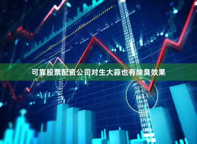 可靠股票配资公司对生大蒜也有除臭效果