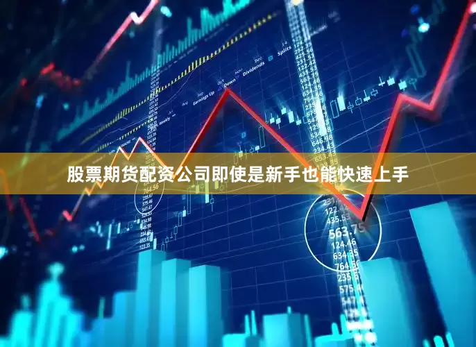 股票期货配资公司即使是新手也能快速上手