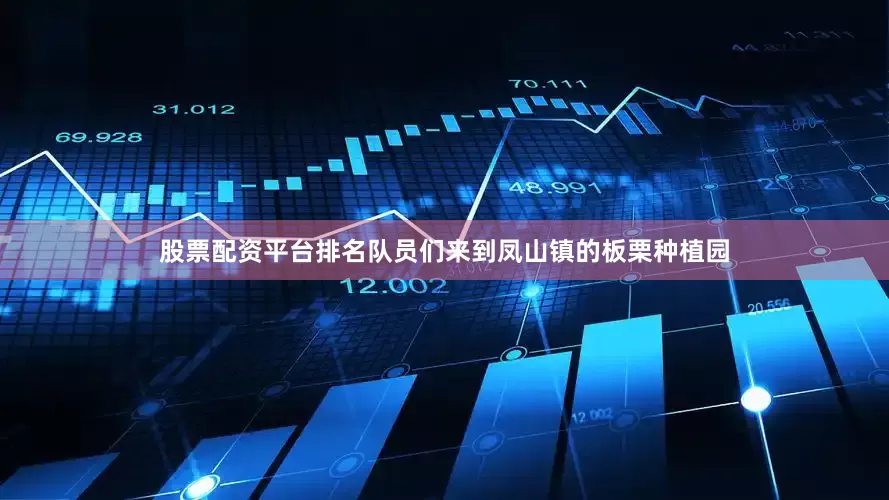股票配资平台排名队员们来到凤山镇的板栗种植园