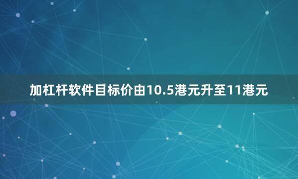 加杠杆软件目标价由10.5港元升至11港元