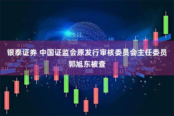 银泰证券 中国证监会原发行审核委员会主任委员郭旭东被查