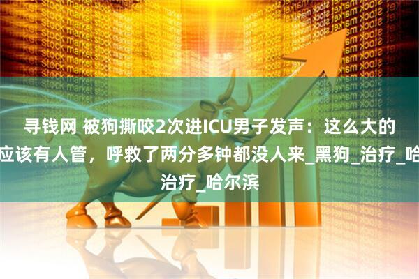 寻钱网 被狗撕咬2次进ICU男子发声：这么大的狗，应该有人管，呼救了两分多钟都没人来_黑狗_治疗_哈尔滨