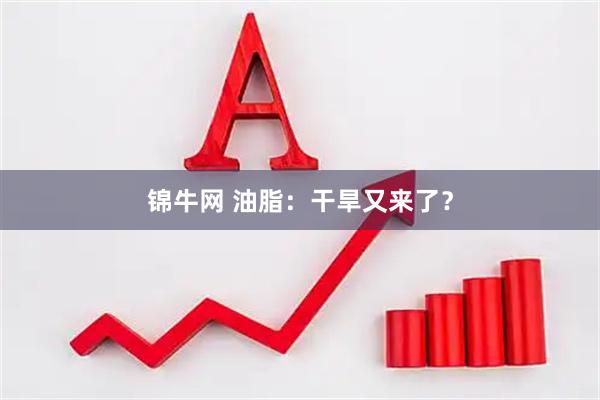 锦牛网 油脂：干旱又来了？