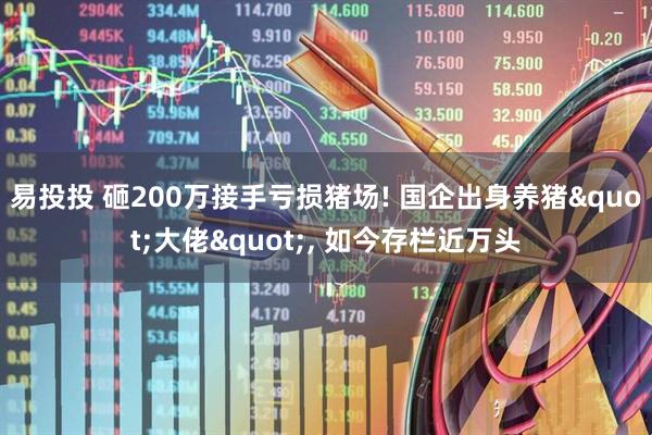 易投投 砸200万接手亏损猪场! 国企出身养猪"大佬", 如今存栏近万头